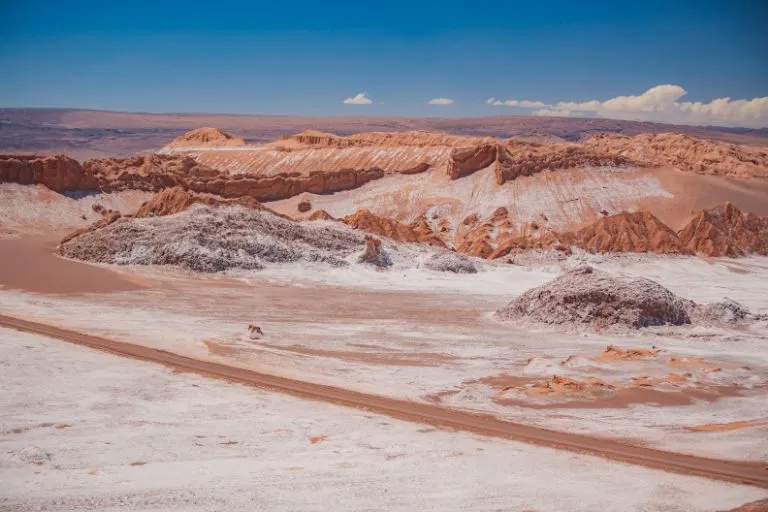 antofagasta desierto atacama