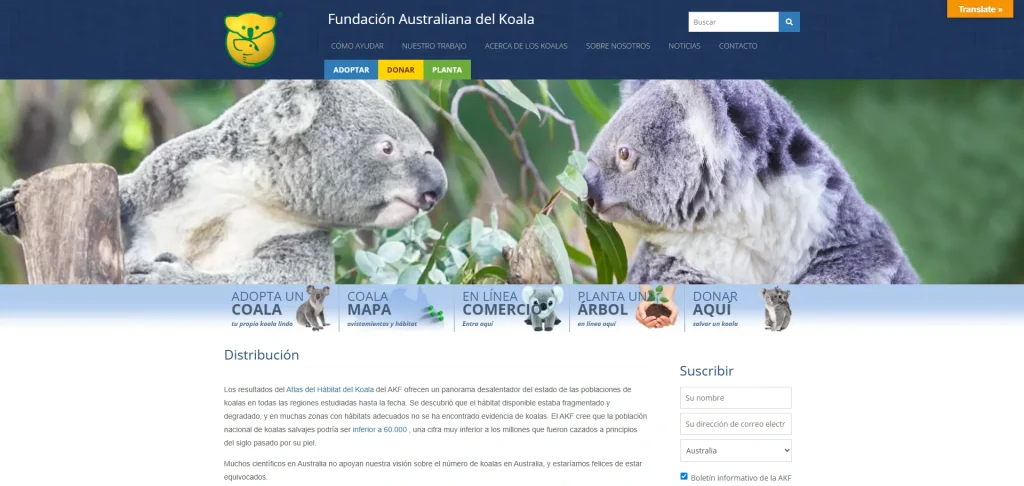 Diseño web organizaciones sin fines de lucro